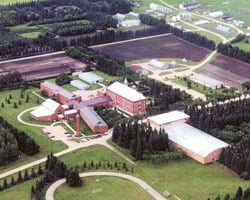 Aerial View of St. Peter's College